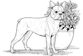 Dog Coloring Pages By Yuckles Dog Coloring Page Dog Coloring Book Horse Coloring Pages
