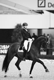 Some of the most common questions pertaining to rules are explained briefly here: Ruoste Dressage