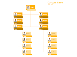 Hierarchical Org Chart Template 9 Management 25 Typical