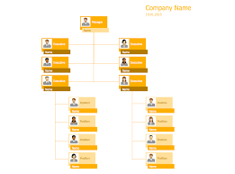 hierarchical org chart template 9 management 25 typical