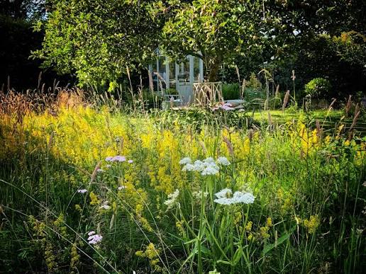 secret garden wildflowers