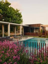 Image result for Lankesteria alba