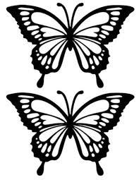 Butterfly Drawing Butterfly Stencil Butterfly Outline Glass Butterfly