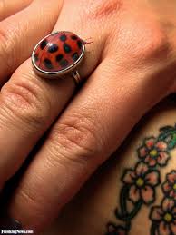 Bug Bite With Black And Blue Ring Around It Ladybug Ring Ladybug Art Ladybug Funny Ladybugs