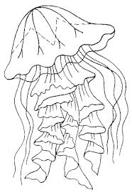 They will be perfect for holidays and to keep your kids busy with a bunch of different octopus designs. Jellyfish Coloring Pages Free Coloring Sheets Fish Coloring Page Jellyfish Coloring Pages Jellyfish Coloring Page