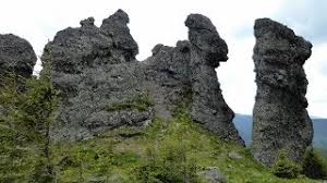 Între ce ani a trăit acesta??? RezervaÈia 12 Apostoli 12 Apostles Nature Reserve Calimani Mountains Romania Youtube