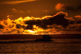 Maybe you would like to learn more about one of these? 10 Best Beach Camping Spots In Nsw Australia
