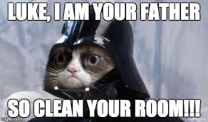 All your memes, gifs & funny pics in one place. Grumpy Cat Memes Funny Clean Grumpy Cat