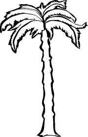 Image Result For Coconut Tree Drawing Images Tree Coloring Page Coconut Tree Drawing Coloring Pages