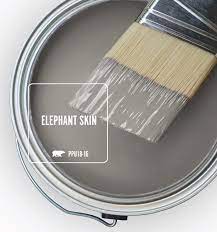 I would like to paint 1 color throughout my 700 sq ft condo, except maybe a darker gray for the bedroom. Trend Color Spotlight Elephant Skin Colorfully Behr