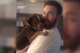 Lizzo drunkenly slid into chris evans' dms and he had the best reply. Chris Evans And Aly Raisman S Dogs Have An Adorable Play Date