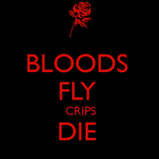 Originally, the word was just used to express a group or band of people. Bloods Fly Crips Die Wallpaper Kolpaper Awesome Free Hd Wallpapers