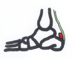 Bursitis Achter De Achillespees Fysioinfo