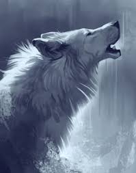 Black And Grey Wolf Drawing Wolf Fans Followme Handicraftmaking Diy Beautiful Wolf Crafts Activities Gifts Decor Handmade Wolves Deco Wolf Art Fantasy Wolf Art Drawing Wolf Drawing