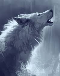 See more ideas about anime wolf, wolf art, anime. Fantasy Wolf Fans Follow Savegraywolf For Wolves White Mythical Creatures Black Giant Wallpaper Dire Werew Wolf Art Drawing Wolf Art Fantasy Wolf Artwork