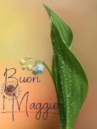 Il primo maggio è la festa dei lavoratori e non c'è migliore occasione per condividere alcune immagini e messaggi per ricordare i lavoratori che la festa del lavoro rappresenta. Immagine Di Buon 1 Maggio Da Scaricare Gratis Buongiornospeciale It