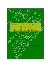 Starbucks tote & packing cube set. Pdf Etanol A Partir De Biomasa Lignocelulosica