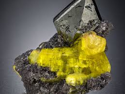 Image result for Yellow 1985 UMM