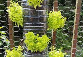 This tall vertical garden is somewhat similar to the pallet vertical garden above, but with a diy trellis instead. Vertikale Garten Energieleben