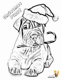 We have collected 100 coloring pages with dogs. Puppy Christmas Dog Coloring Page Page 1 Line 17qq Com