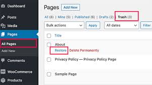 Click on the three dots as shown below. How To Recover And Restore Deleted Pages In Wordpress 4 Methods