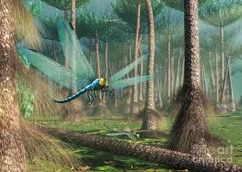Artwork Of Giant Dragonfly Meganeura #1 by Mark Garlick / Science Photo  Library