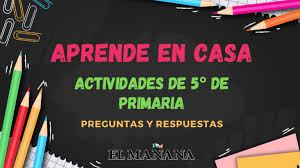 5° grado, examen quinto bimestre. Aprende En Casa Preguntas Y Respuestas 5 De Primaria 15 De Septiembre