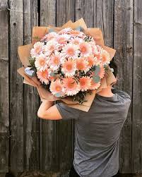Check spelling or type a new query. Gerbera Daisies Flowers Bouquet Gift Flower Delivery Service Avas Flowers