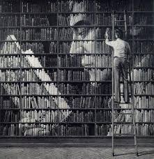 Pin By Xylocopa On Unique Books To Read Library Books Book Art