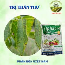 Alphacol 700WP