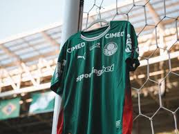 Com Paulinho e baixas, Abel define 'novo Palmeiras' contra o Atlético