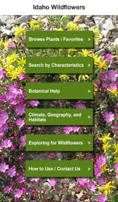 Idaho S Wildflowers App Dept Of Biological Sciences University Of Idaho Start by marking field guide to indiana wildflowers as want to read forty percent or more of indiana's wildflowers will not be found in any of the available field guides. idaho s wildflowers app dept of
