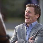 Premium Horse feed Worldwide