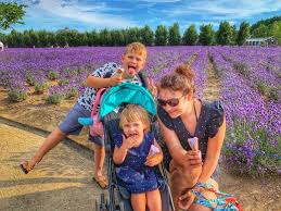 Stolicą japonii jest tokio, które zamieszkuje blisko 14 milionów obywateli. Japonia 25 Powodow By Wybrac Sie Na Hokkaido