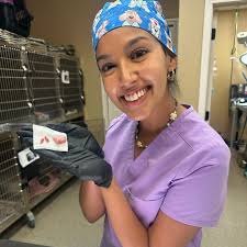 United Veterinary Care