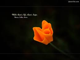 Funny Flower Quotes Quotesgram See more ideas about quotes, funny, funny quotes.