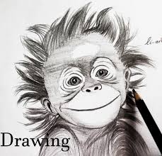 Draw the picture start with the head. Drawing Cute Baby Monkey Peakd