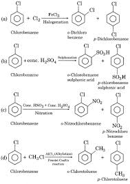 In notes, understudies locate the synopsis of the total sections in a short and succinct manner. Rbse Solutions For Class 12 Chemistry Chapter 10 Halogen Derivatives Rbsesolutionsclass12chemistrychapter10 Chemistry Organic Chemistry Chemistry Lessons