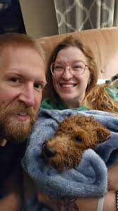 Lost dog Hazel in Rawsonville Woods trailer park area