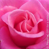 Masque Au Miel Et A L Eau De Rose Pour Les Peaux Mixtes Le Boudoir Des Brunettes En 2020 Peau Recettes De Beaute Naturelles Maquillage Maison