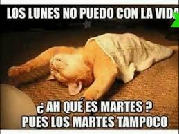 Resultado de imagen de gifs de los martes