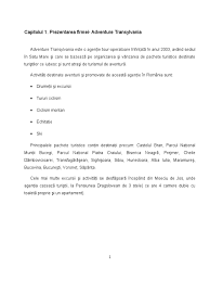 Piața libertății 21, satu mare, românia. Analiza Swot Agentie De Turism