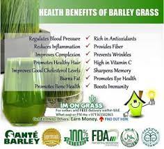 Sante Barley International If Gte Vml 1 Barley Health Benefits Barley Benefits Barley Nutrition