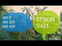 Youtube Epsom Salt Magnesium Epsom Salt Magnesium Sulfate