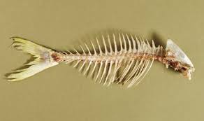 Apa kalau korang nak buat kalau tercekik atau tersengkang tulang ikan ini? Petua Bila Tercekik Tulang Ikan Cerita Budak Sepet