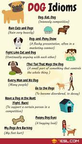 Common Dog Idioms With Meaning And Examples English Idioms Idioms English Language Learning