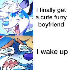 Dream_irl : rfurry_irl