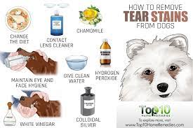 Cleaning the stained area with warm water or saline solution can help. How To Remove Your Dog S Tear Stains Top 10 Home Remedies
