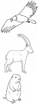 La Montagna Disegni Da Colorare Geography Art