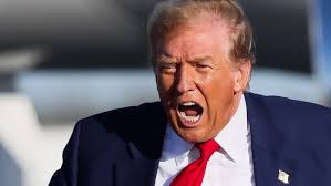 More than 60 protests planned across Arizona for 'No Kings' Day